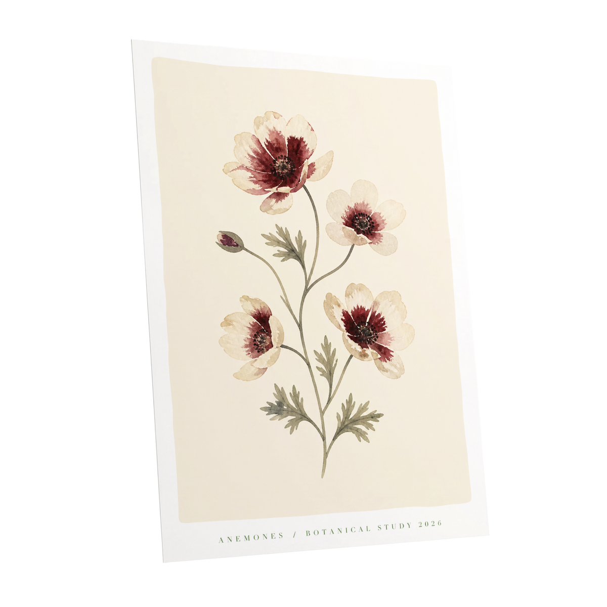 Crimson Anemone Study, beige, red, green floral wall art shown as a unframed poster wall art print