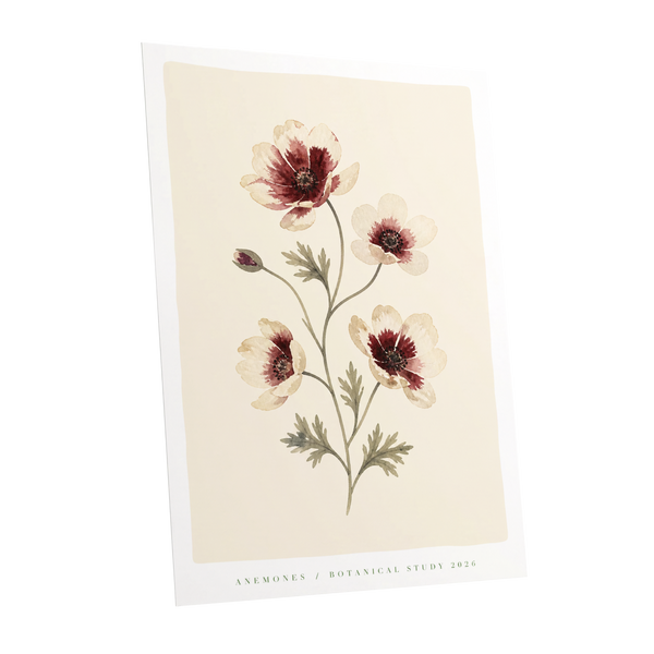 Crimson Anemone Study, beige, red, green floral wall art shown as a unframed poster wall art print