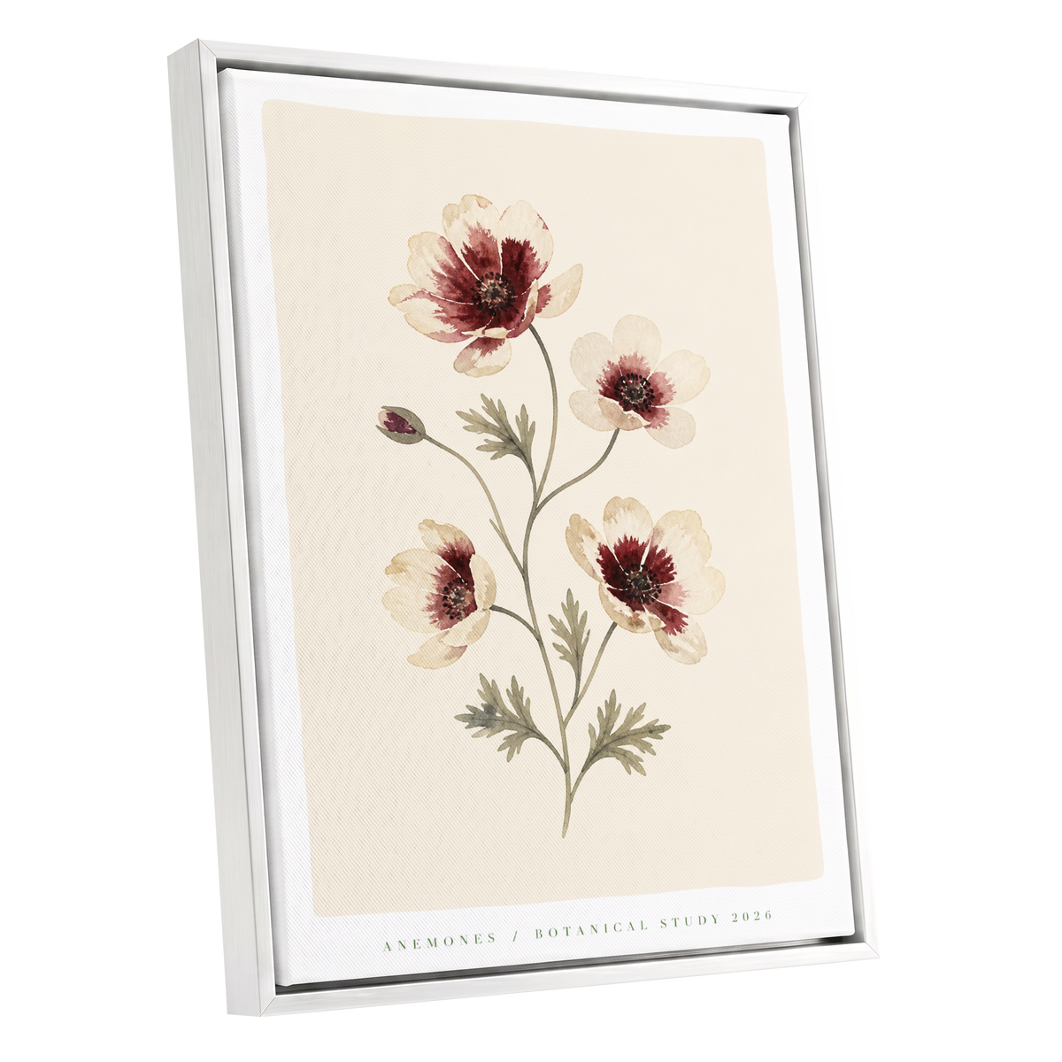 Crimson Anemone Study, beige, red, green floral wall art shown as a white framed canvas wall art