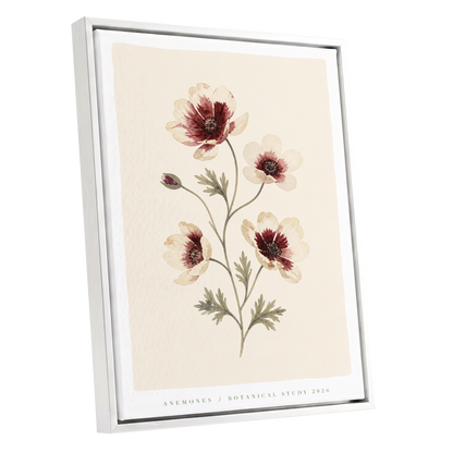 Crimson Anemone Study, beige, red, green floral wall art shown as a white framed canvas wall art