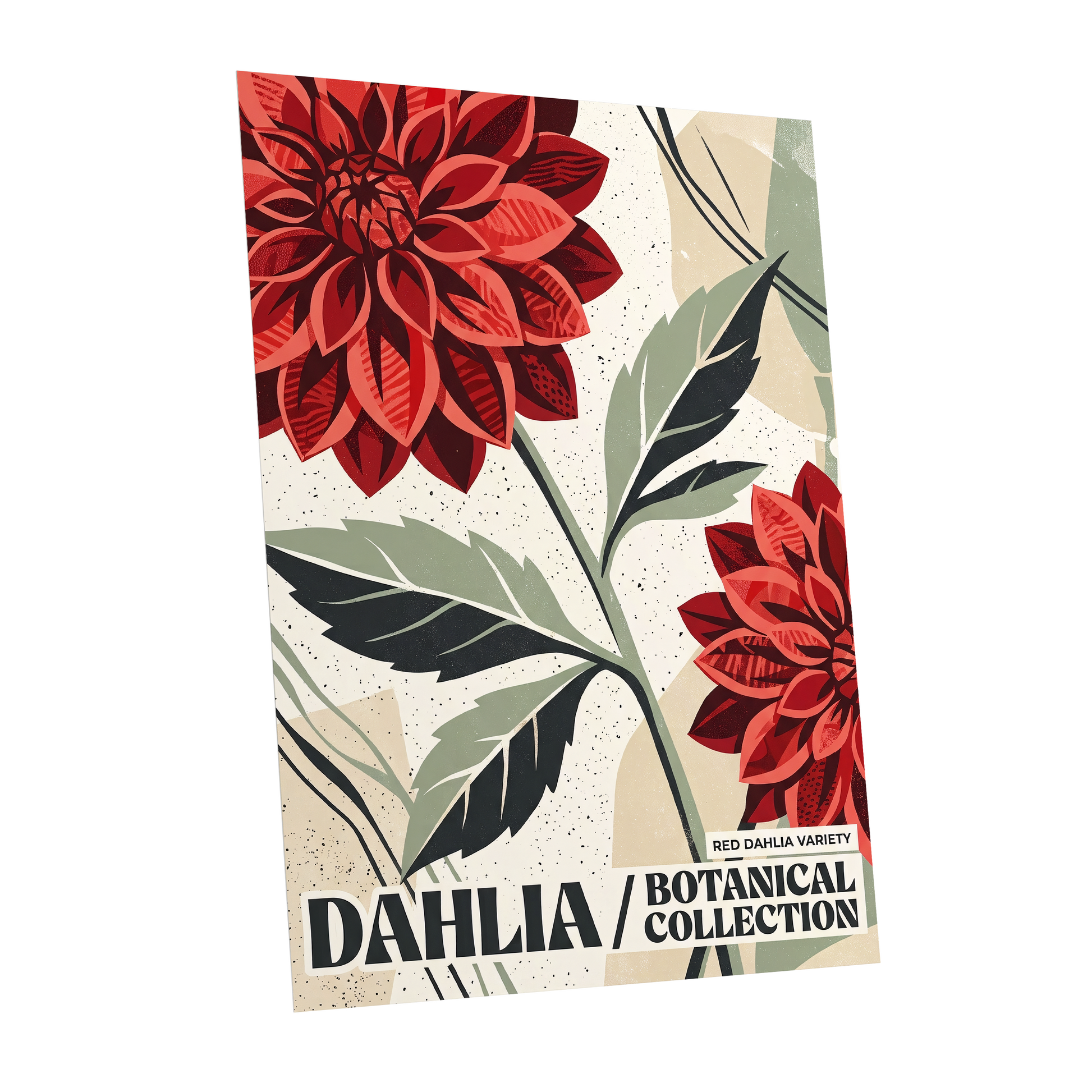 Crimson Dahlia Study, red, green, beige floral wall art shown as a unframed poster wall art print