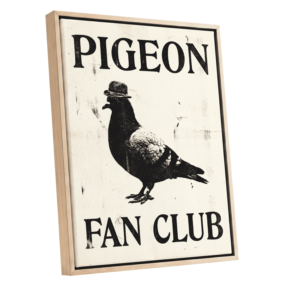 Dapper Pigeon Fan Club, black, beige, white nature wall art shown as a oak framed canvas wall art