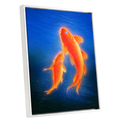 Ember Koi, blue, orange, gold nature wall art shown as a white framed canvas wall art
