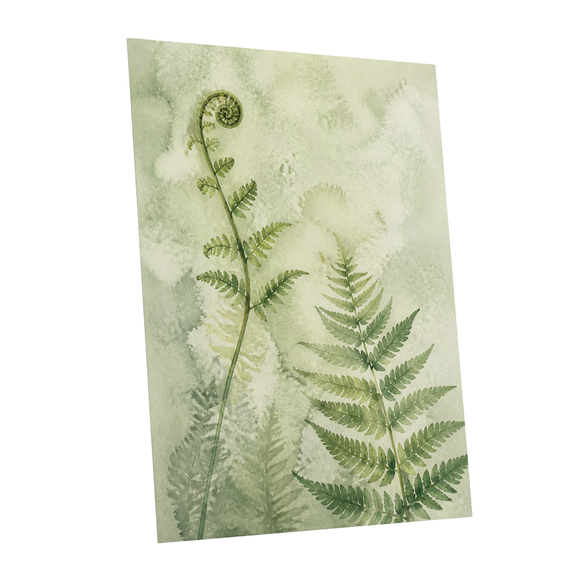 Fernlight Reverie, green, beige, white nature wall art shown as a unframed poster wall art print