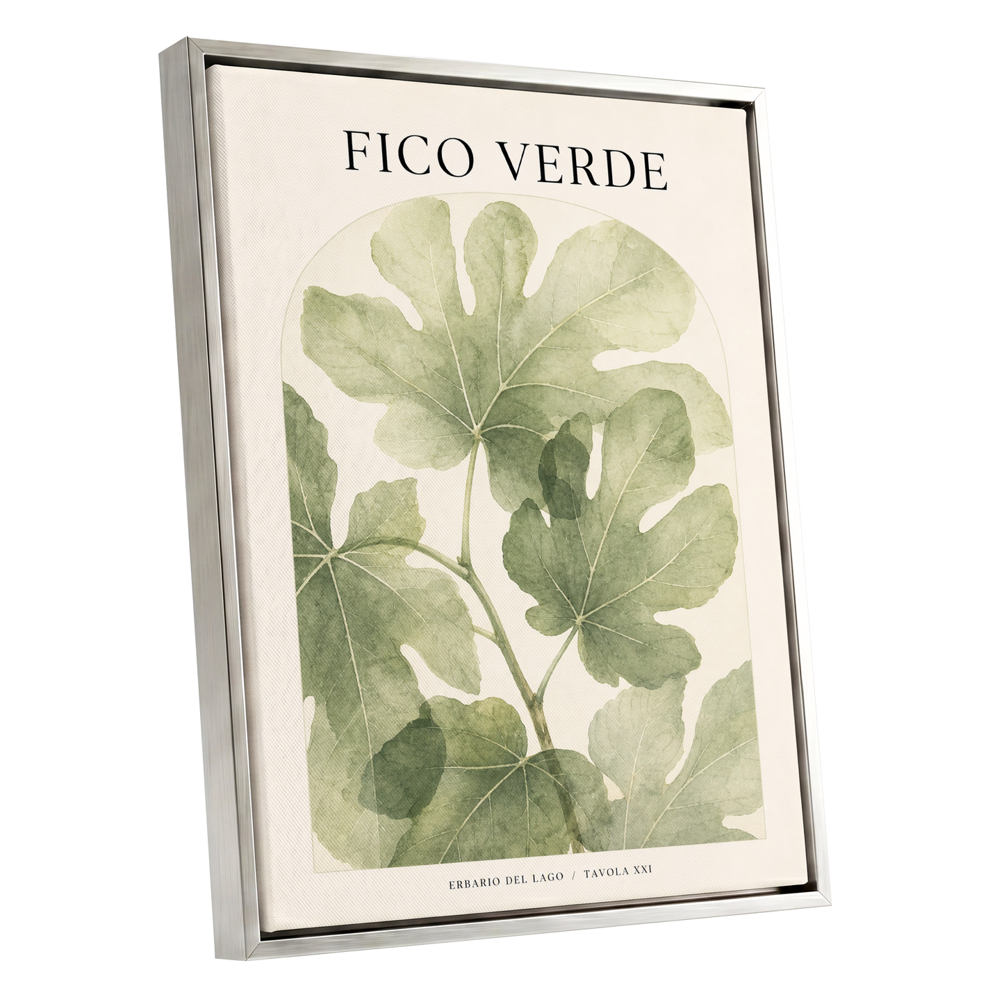 Fico Verde Study, green, beige nature wall art shown as a silver framed canvas wall art