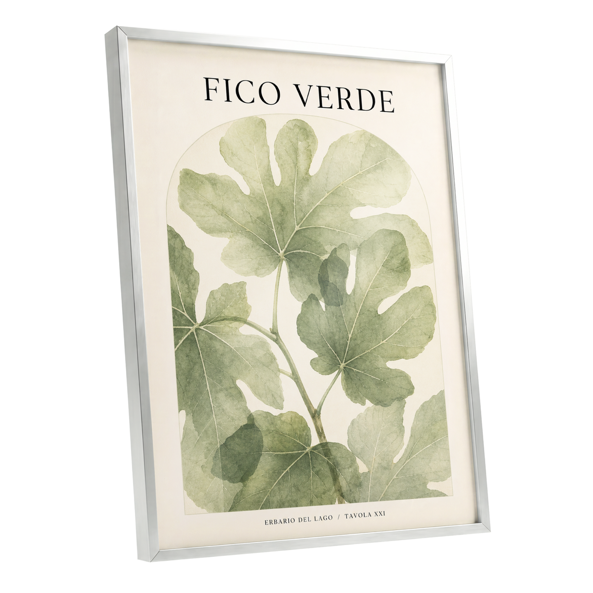 Fico Verde Study, green, beige nature wall art shown as a silver framed poster wall art print