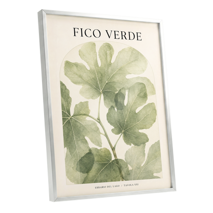 Fico Verde Study, green, beige nature wall art shown as a silver framed poster wall art print