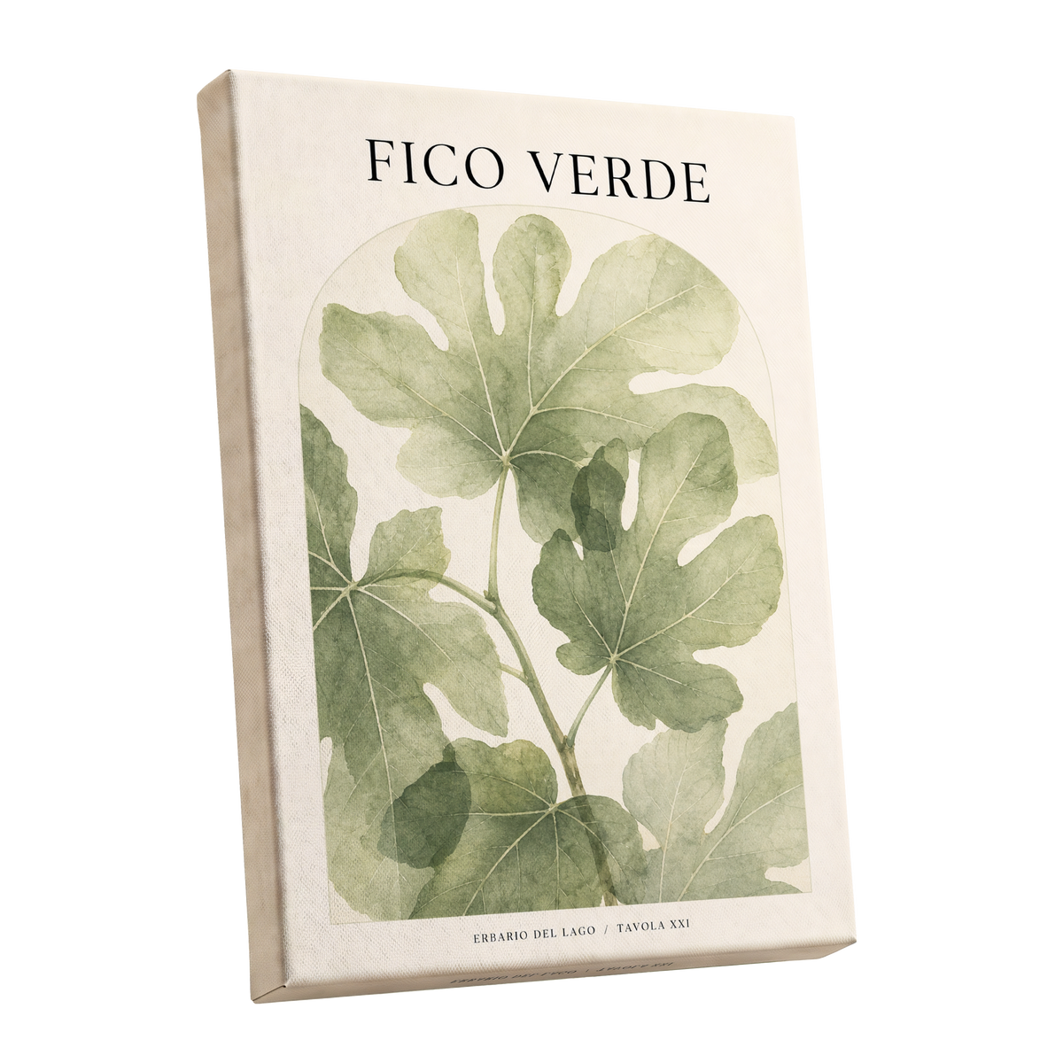 Fico Verde Study, green, beige nature wall art shown as a stretched canvas wall art