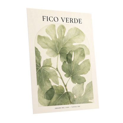 Fico Verde Study, green, beige nature wall art shown as a unframed poster wall art print