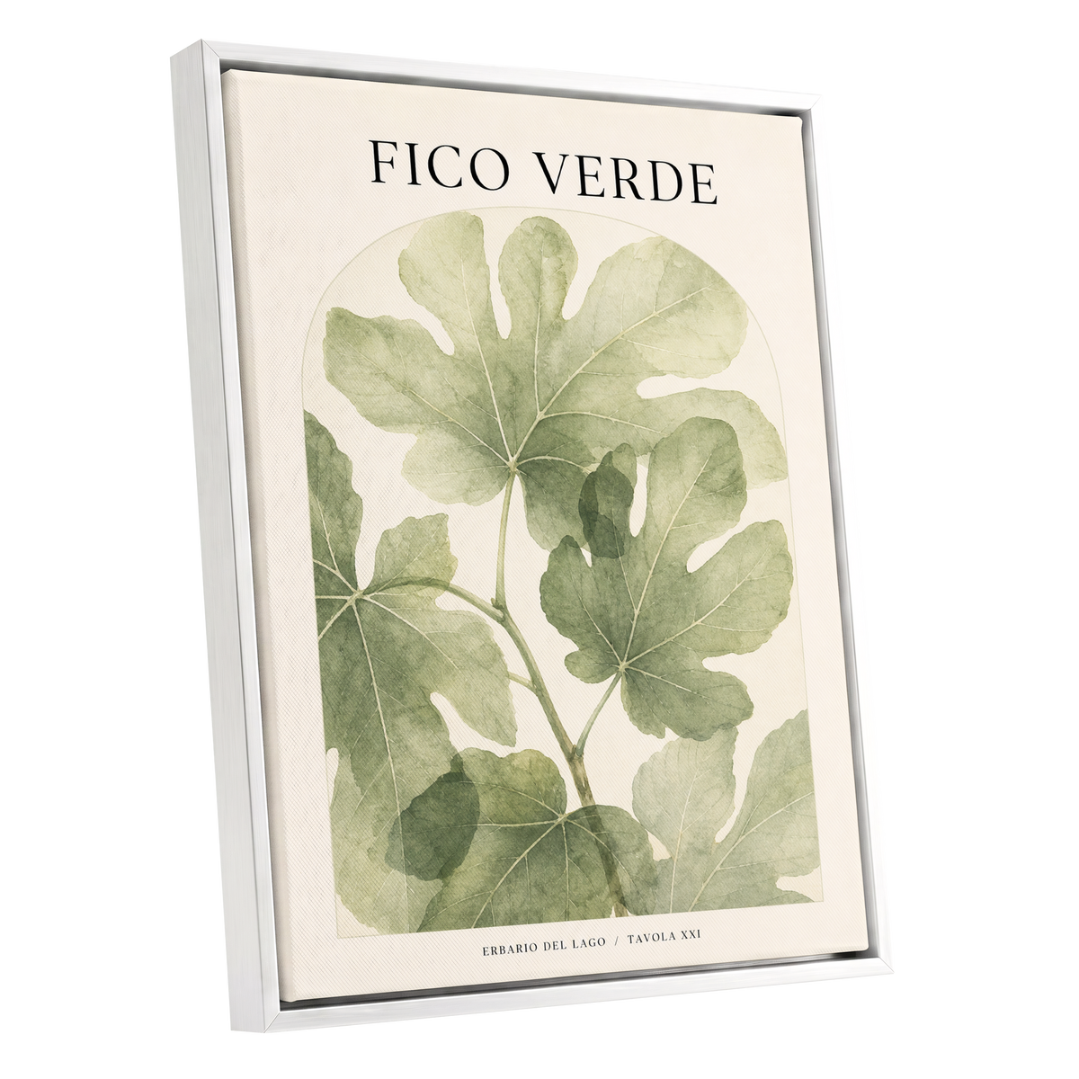 Fico Verde Study, green, beige nature wall art shown as a white framed canvas wall art