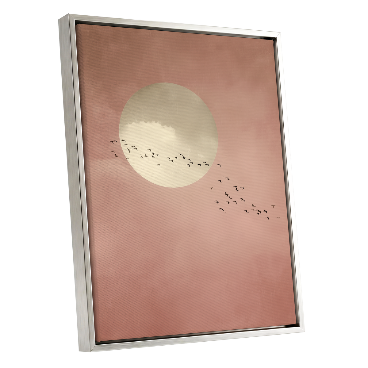 Flight Across Blush, pink, beige, white nature wall art shown as a silver framed canvas wall art