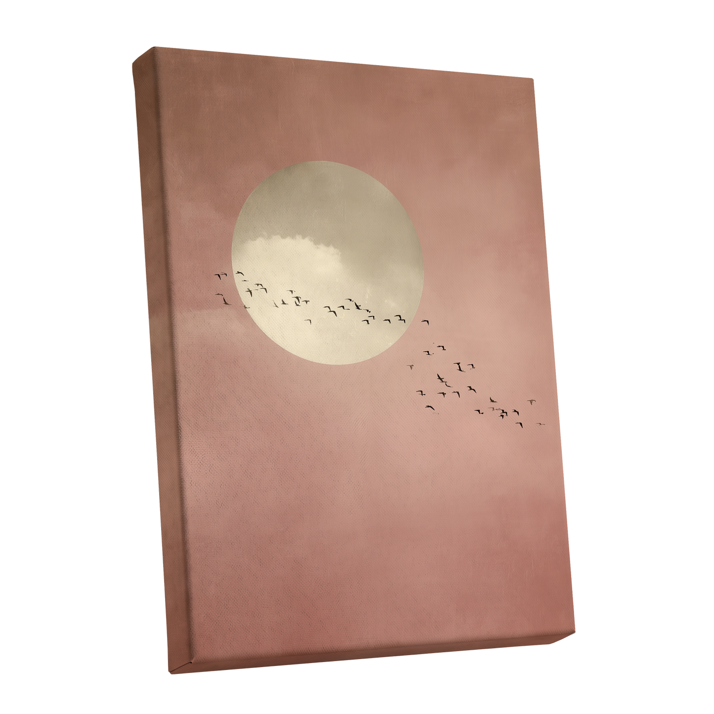 Flight Across Blush, pink, beige, white nature wall art shown as a stretched canvas wall art