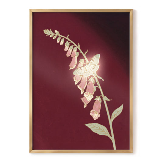 Foxglove Nocturne, red, pink, green floral wall art, front artwork view