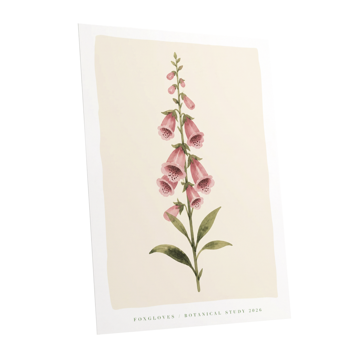Foxglove Reverie, pink, green, beige floral wall art shown as a unframed poster wall art print