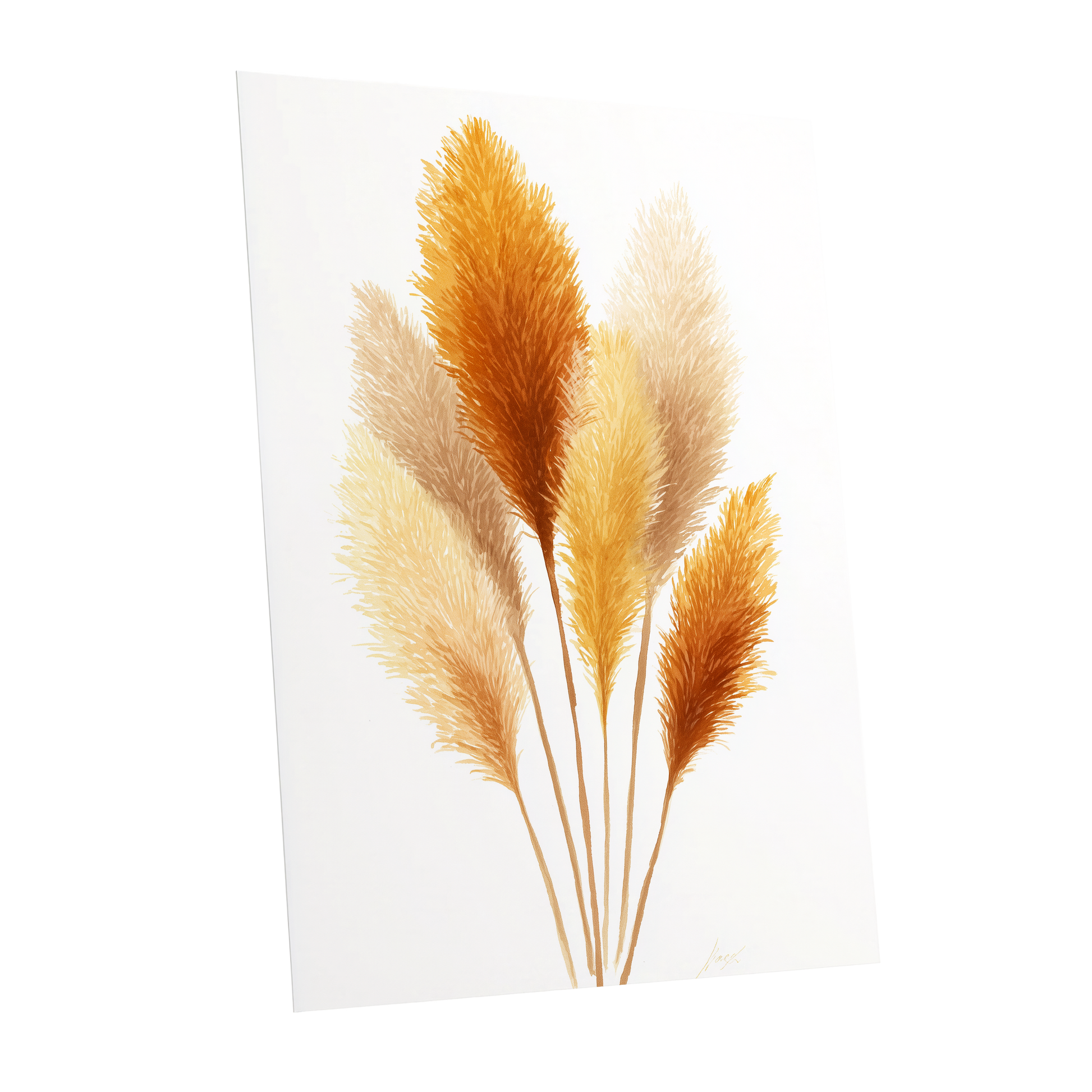 Gilded Pampas Study, white, beige, gold nature wall art shown as a unframed poster wall art print
