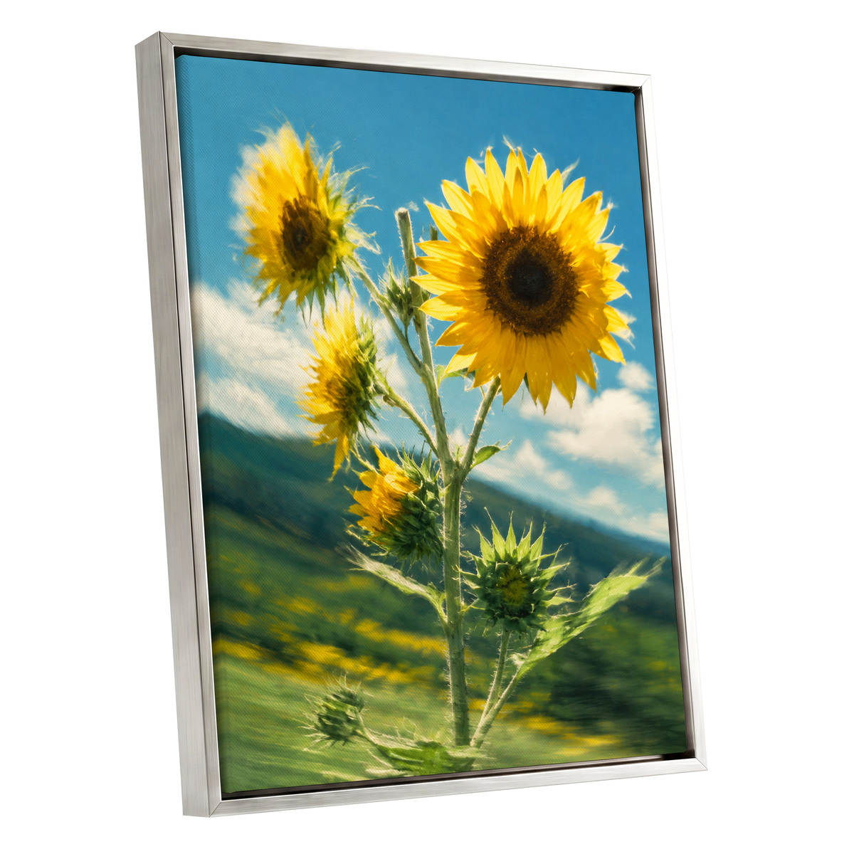 Golden Skyward Blooms, yellow, blue, green floral wall art shown as a silver framed canvas wall art