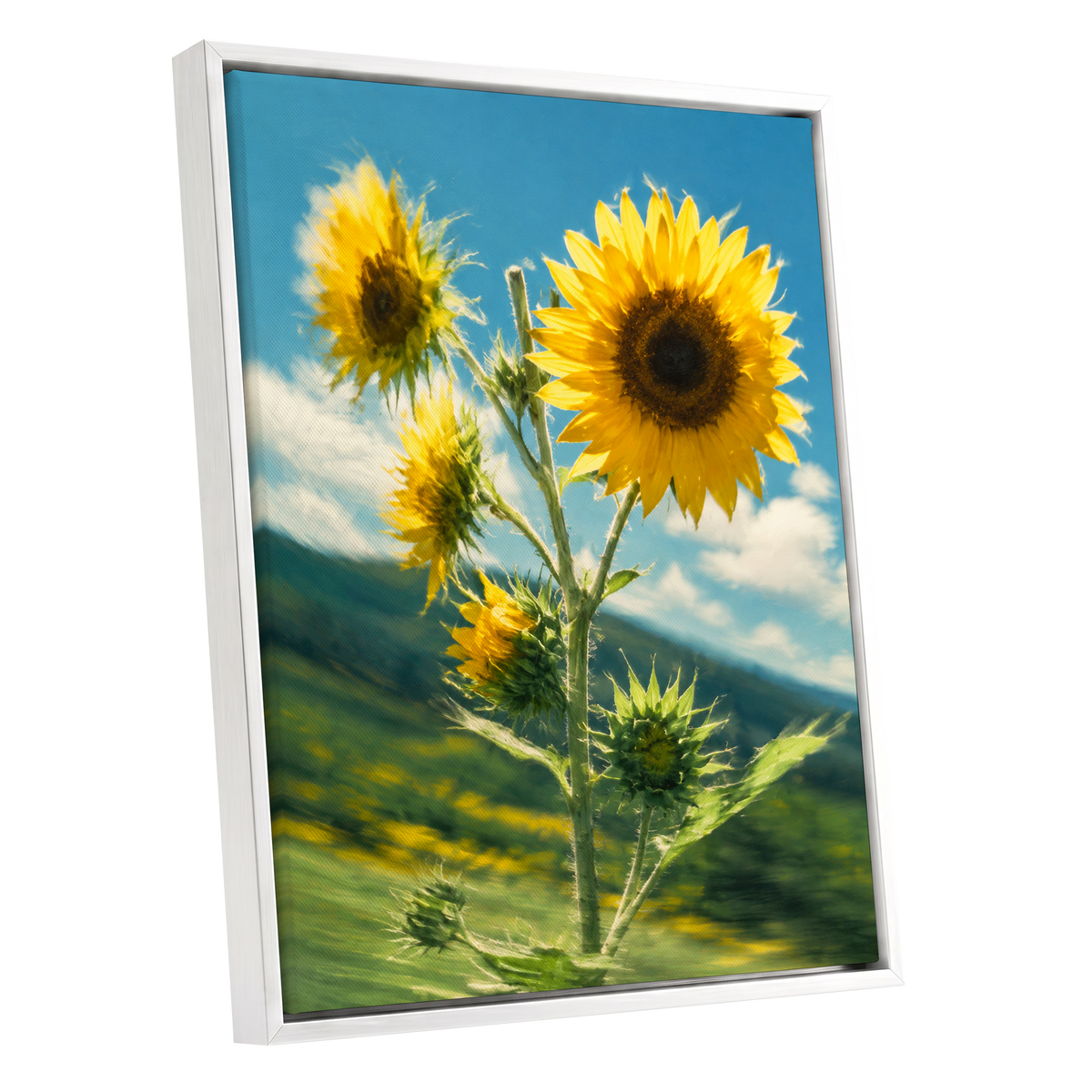 Golden Skyward Blooms, yellow, blue, green floral wall art shown as a white framed canvas wall art