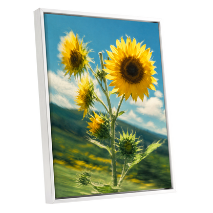 Golden Skyward Blooms, yellow, blue, green floral wall art shown as a white framed canvas wall art