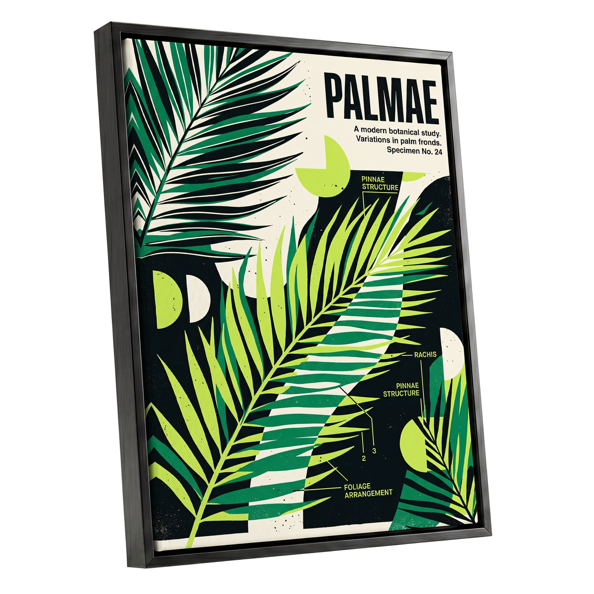 Graphic Palm Study, black, green, beige nature wall art shown as a black framed canvas wall art
