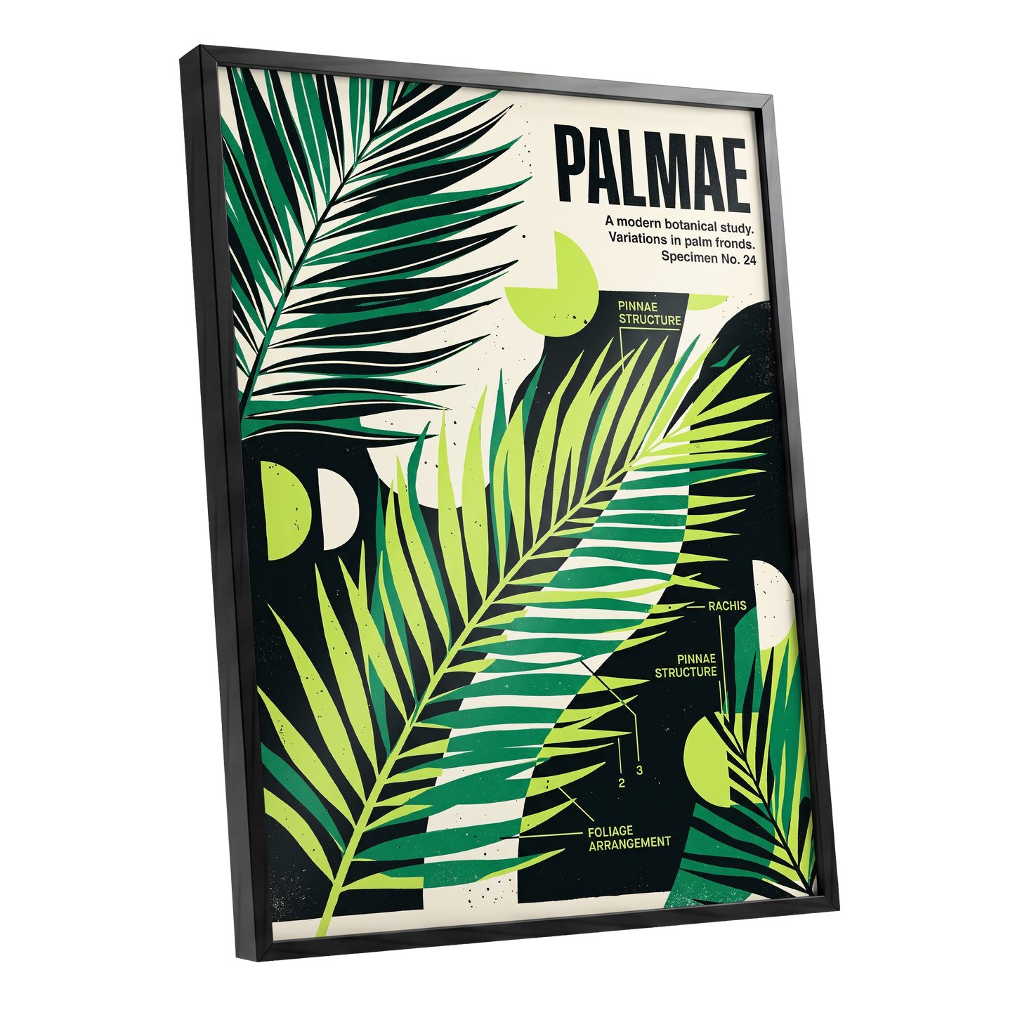 Graphic Palm Study, black, green, beige nature wall art shown as a black framed poster wall art print