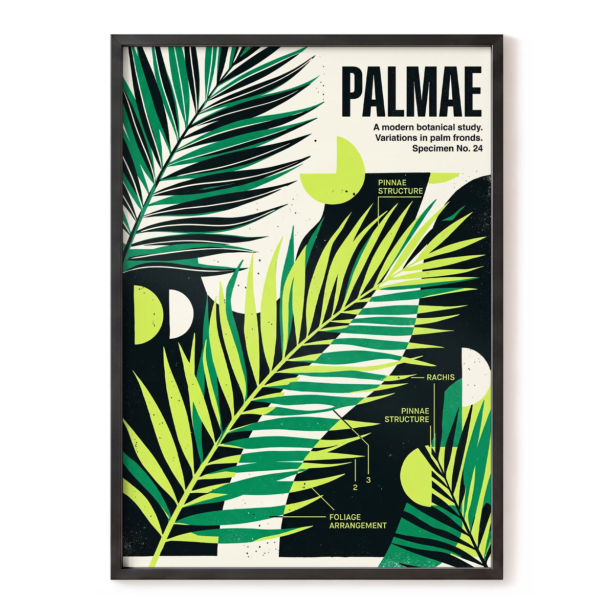 Graphic Palm Study, black, green, beige nature wall art, front artwork view