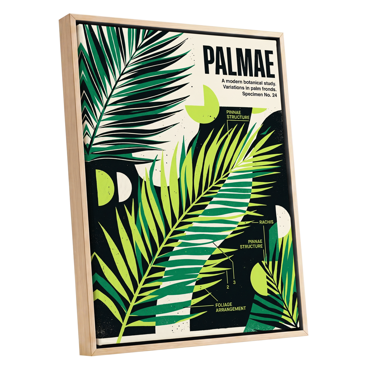 Graphic Palm Study, black, green, beige nature wall art shown as a oak framed canvas wall art