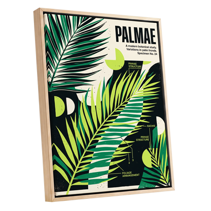 Graphic Palm Study, black, green, beige nature wall art shown as a oak framed canvas wall art