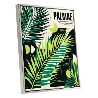 Graphic Palm Study, black, green, beige nature wall art shown as a silver framed canvas wall art