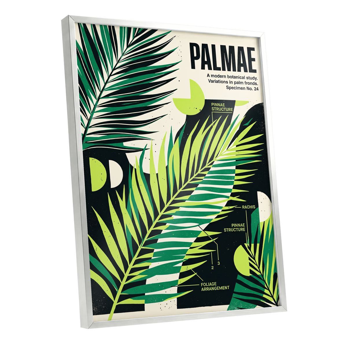 Graphic Palm Study, black, green, beige nature wall art shown as a silver framed poster wall art print