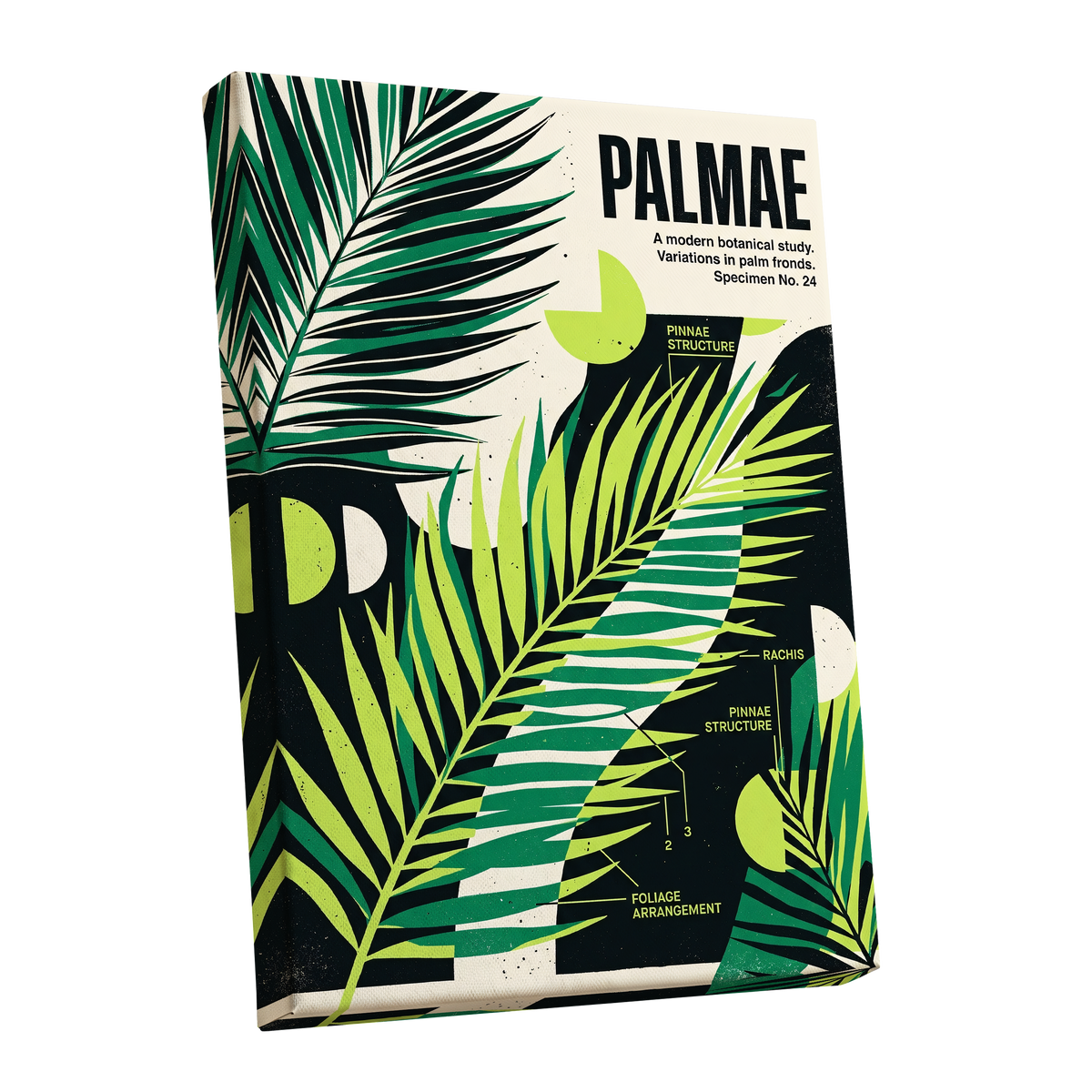 Graphic Palm Study, black, green, beige nature wall art shown as a stretched canvas wall art