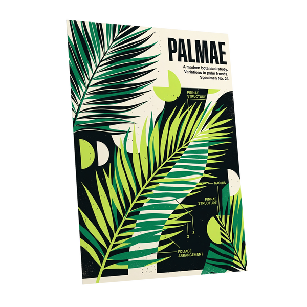 Graphic Palm Study, black, green, beige nature wall art shown as a unframed poster wall art print