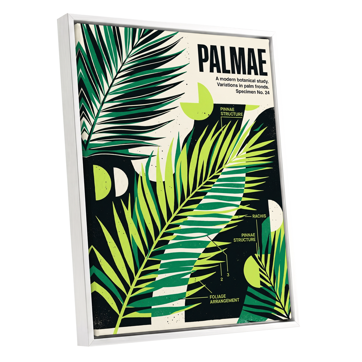 Graphic Palm Study, black, green, beige nature wall art shown as a white framed canvas wall art