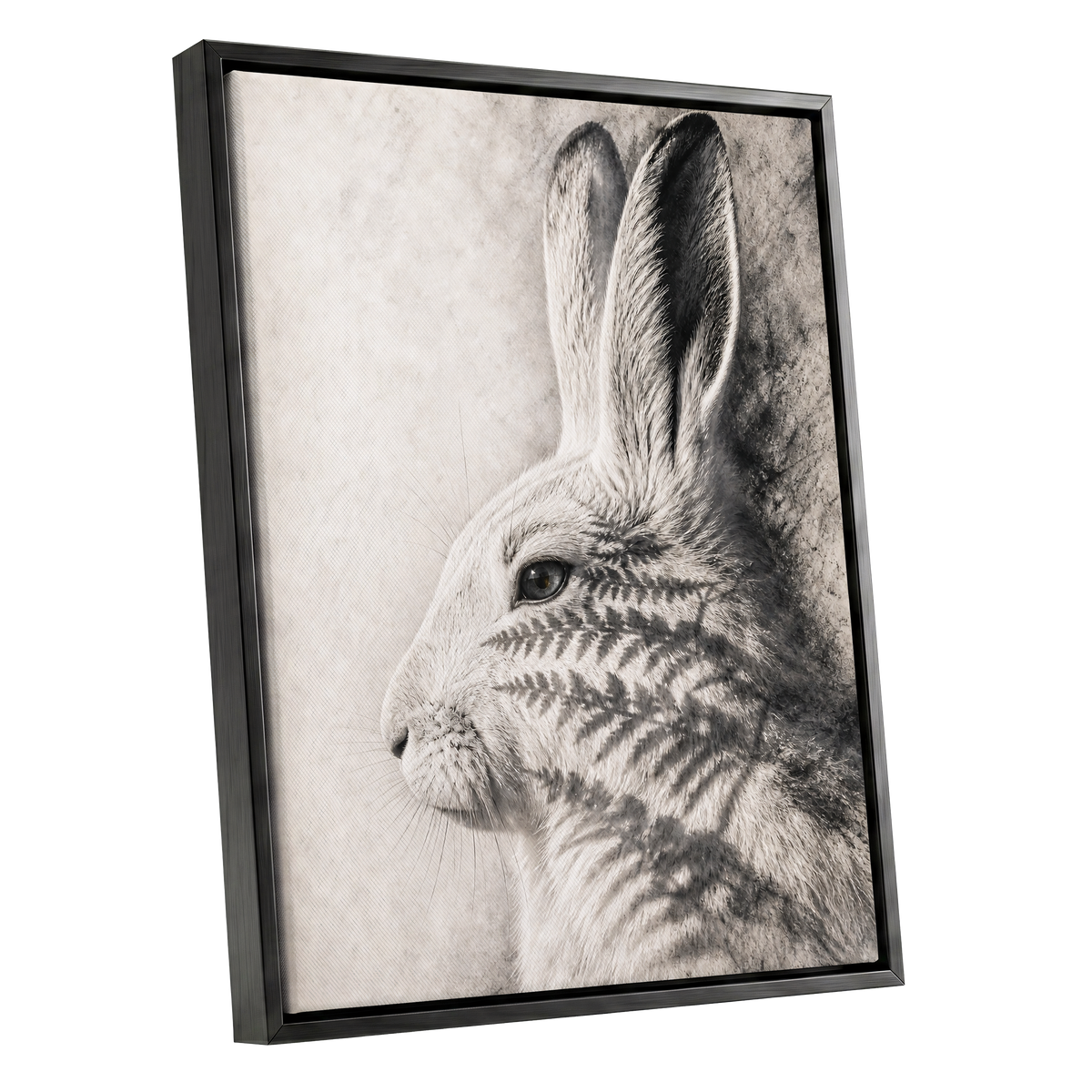 Hare in Hushed Light, white, gray, black nature wall art shown as a black framed canvas wall art