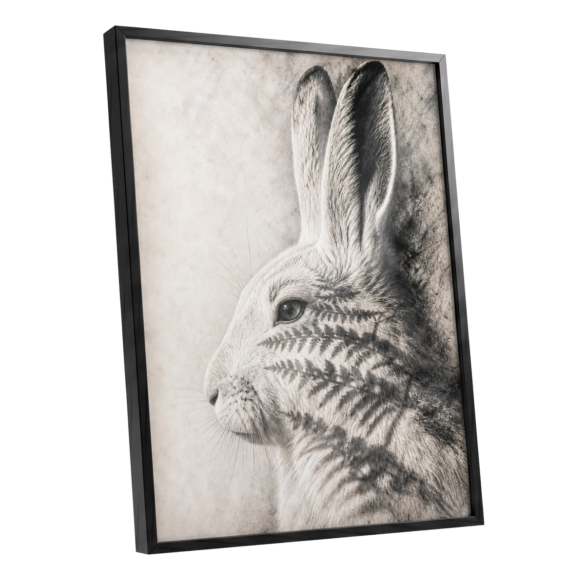 Hare in Hushed Light, white, gray, black nature wall art shown as a black framed poster wall art print