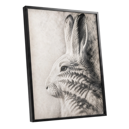 Hare in Hushed Light, white, gray, black nature wall art shown as a black framed poster wall art print