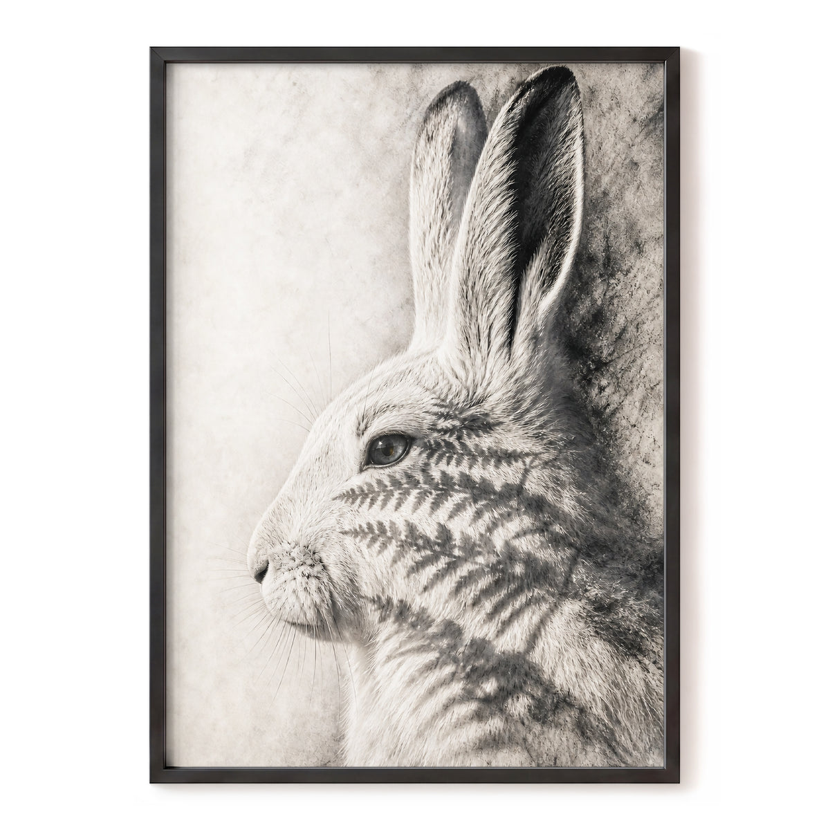 Hare in Hushed Light, white, gray, black nature wall art, front artwork view