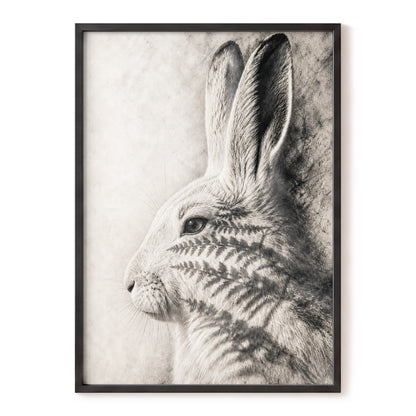 Hare in Hushed Light, white, gray, black nature wall art, front artwork view