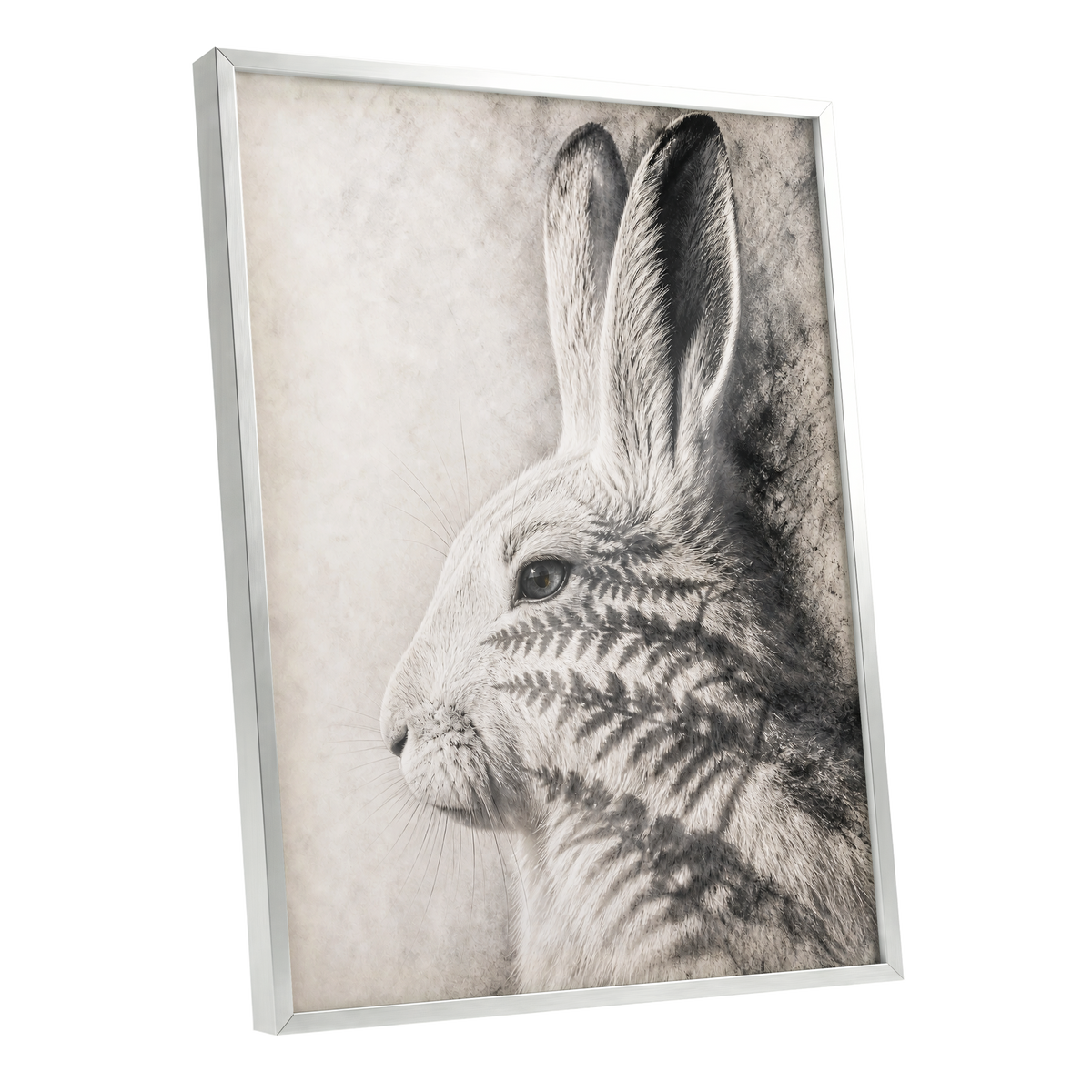Hare in Hushed Light, white, gray, black nature wall art shown as a silver framed poster wall art print