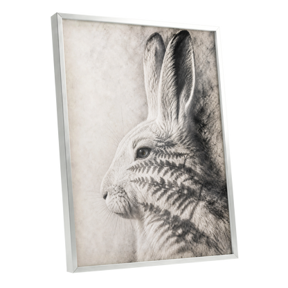 Hare in Hushed Light, white, gray, black nature wall art shown as a silver framed poster wall art print