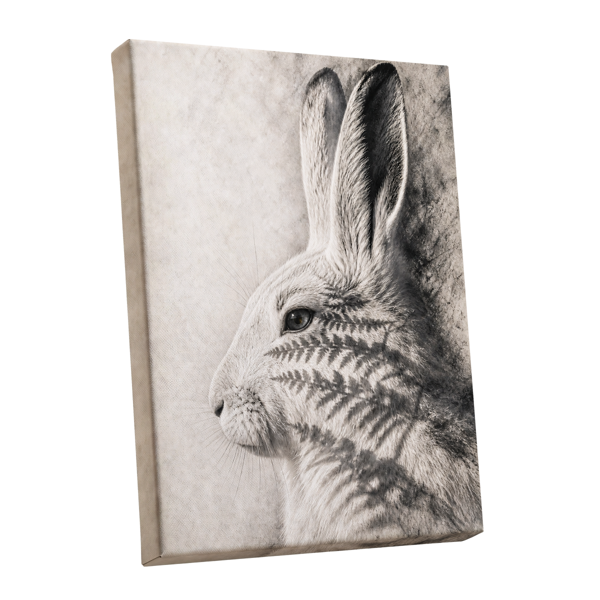 Hare in Hushed Light, white, gray, black nature wall art shown as a stretched canvas wall art