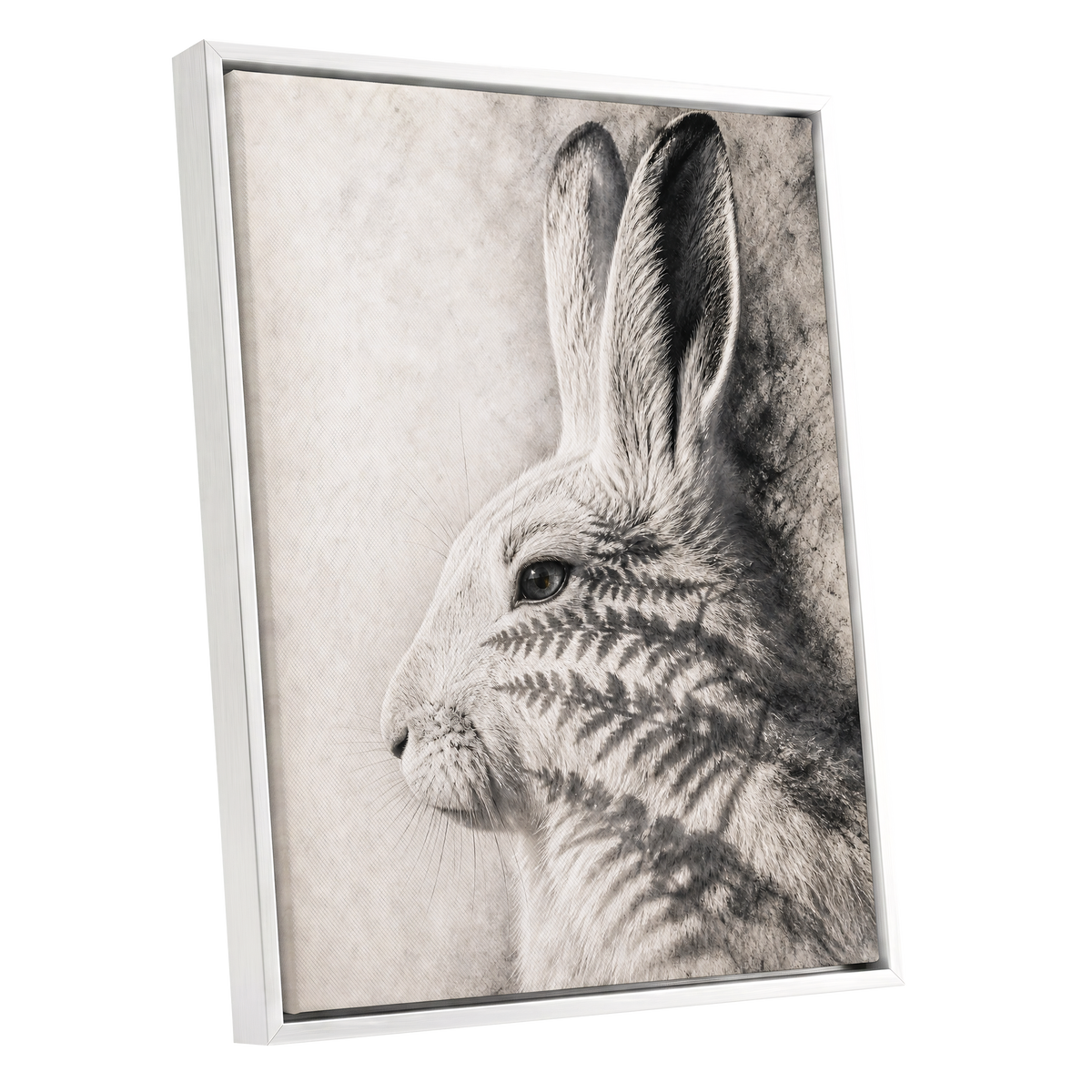 Hare in Hushed Light, white, gray, black nature wall art shown as a white framed canvas wall art