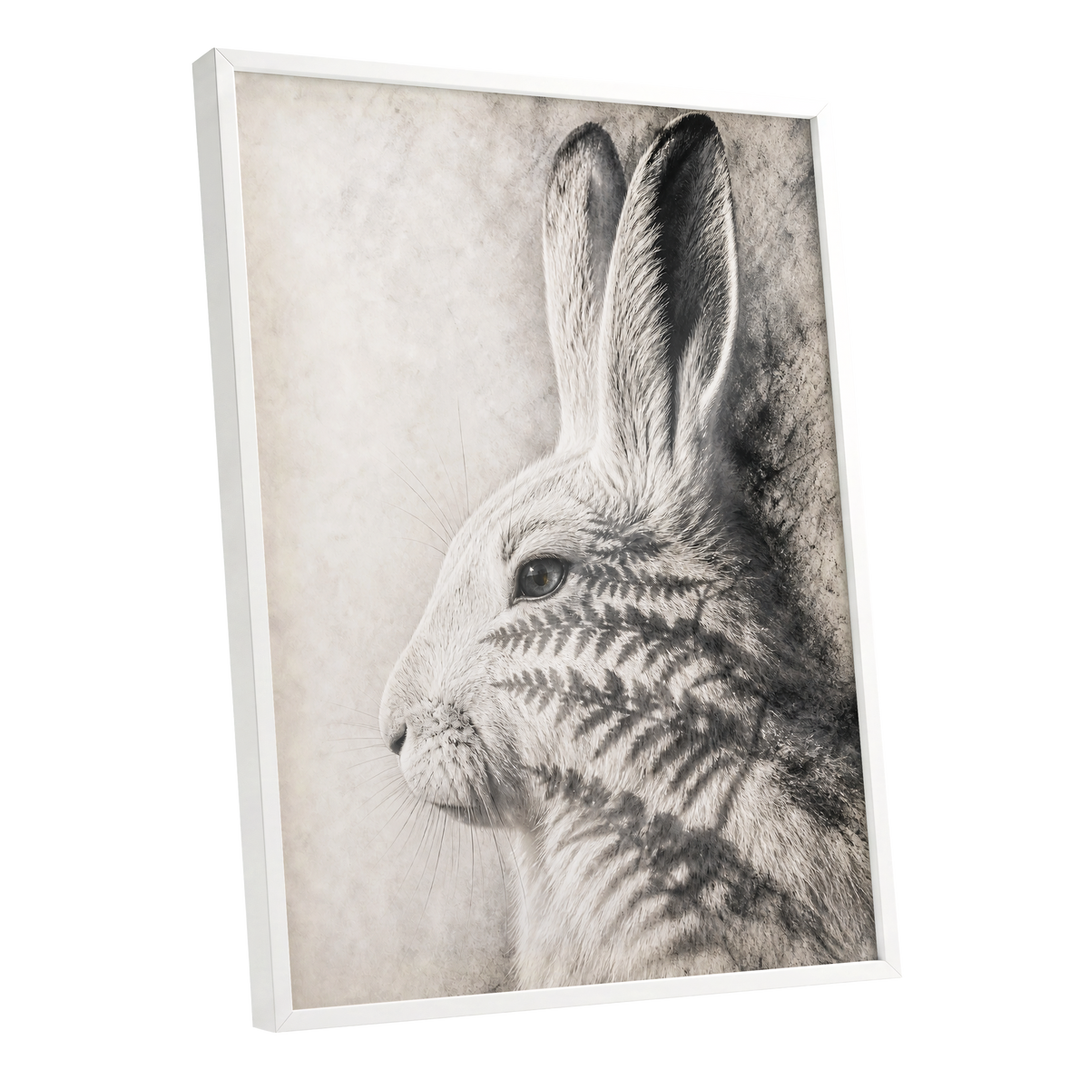 Hare in Hushed Light, white, gray, black nature wall art shown as a white framed poster wall art print