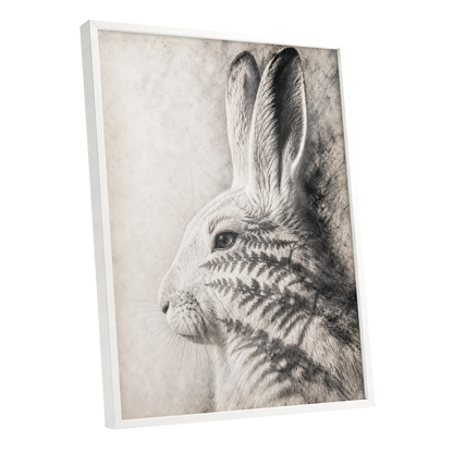 Hare in Hushed Light, white, gray, black nature wall art shown as a white framed poster wall art print