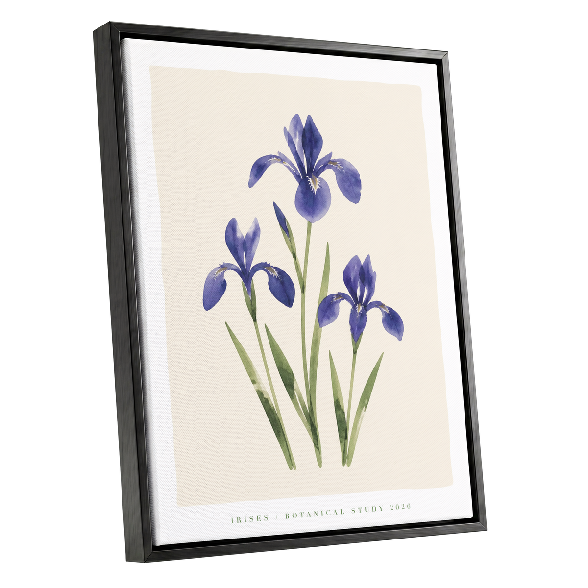 Indigo Iris Study, purple, green, beige floral wall art shown as a black framed canvas wall art