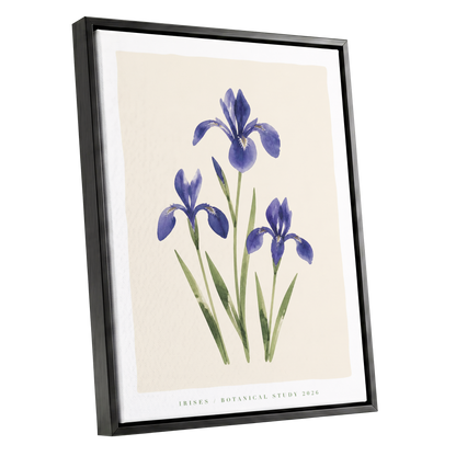Indigo Iris Study, purple, green, beige floral wall art shown as a black framed canvas wall art