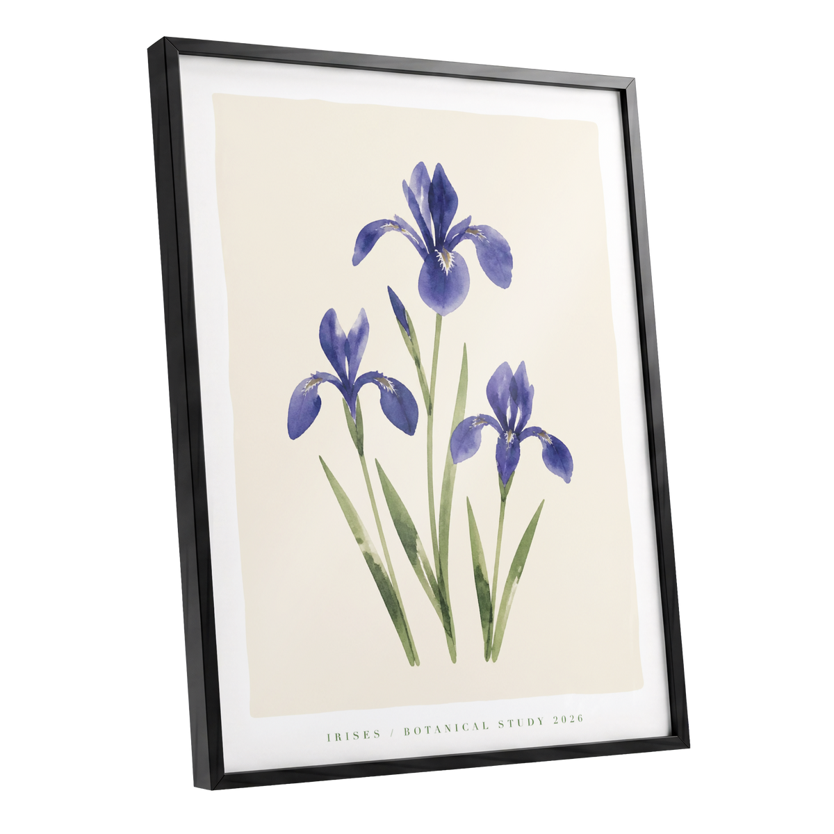 Indigo Iris Study, purple, green, beige floral wall art shown as a black framed poster wall art print