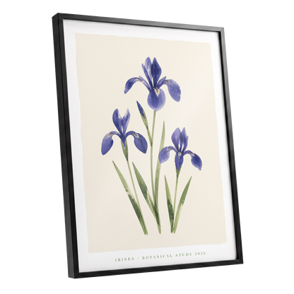 Indigo Iris Study, purple, green, beige floral wall art shown as a black framed poster wall art print