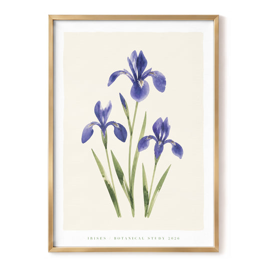 Indigo Iris Study, purple, green, beige floral wall art, front artwork view