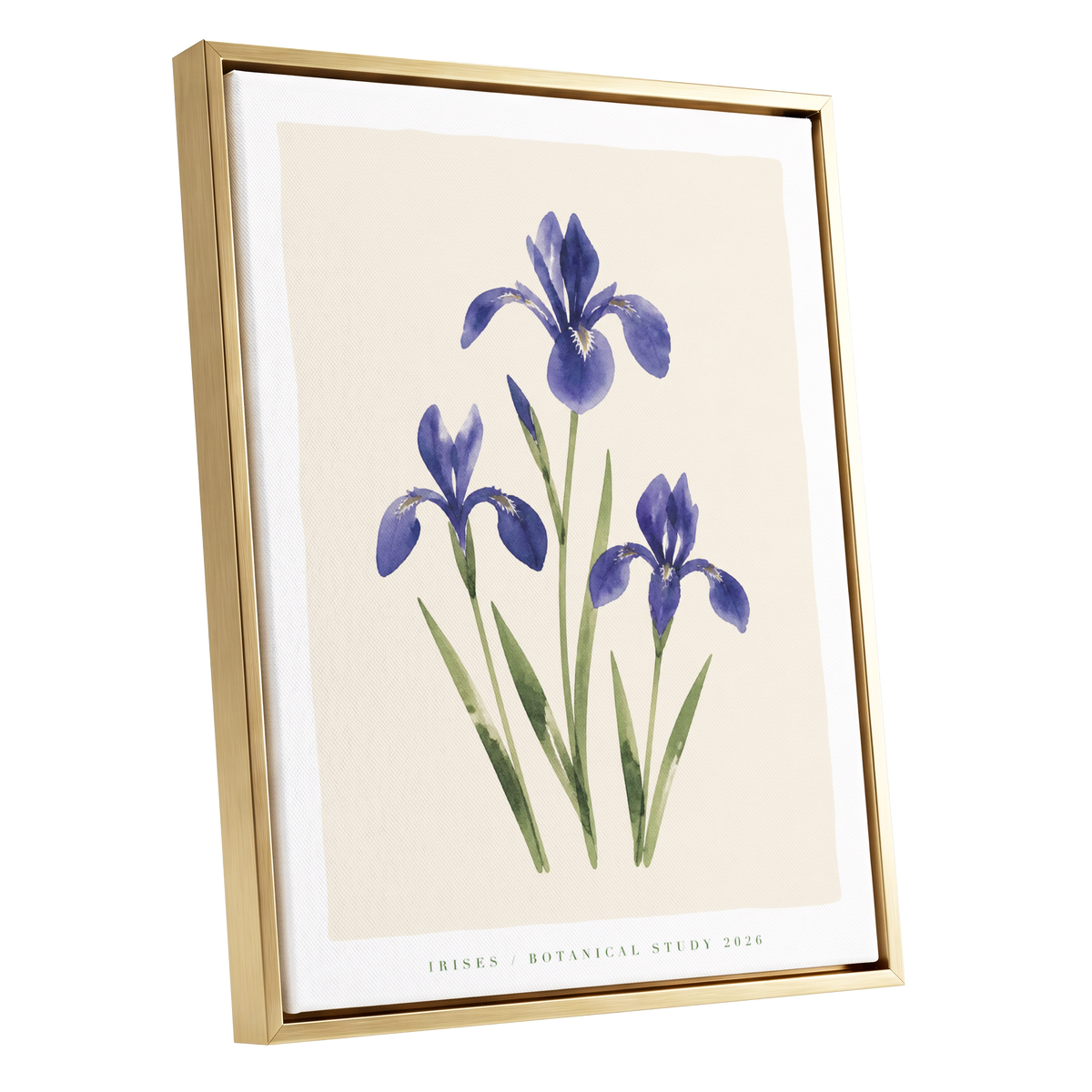 Indigo Iris Study, purple, green, beige floral wall art shown as a gold framed canvas wall art