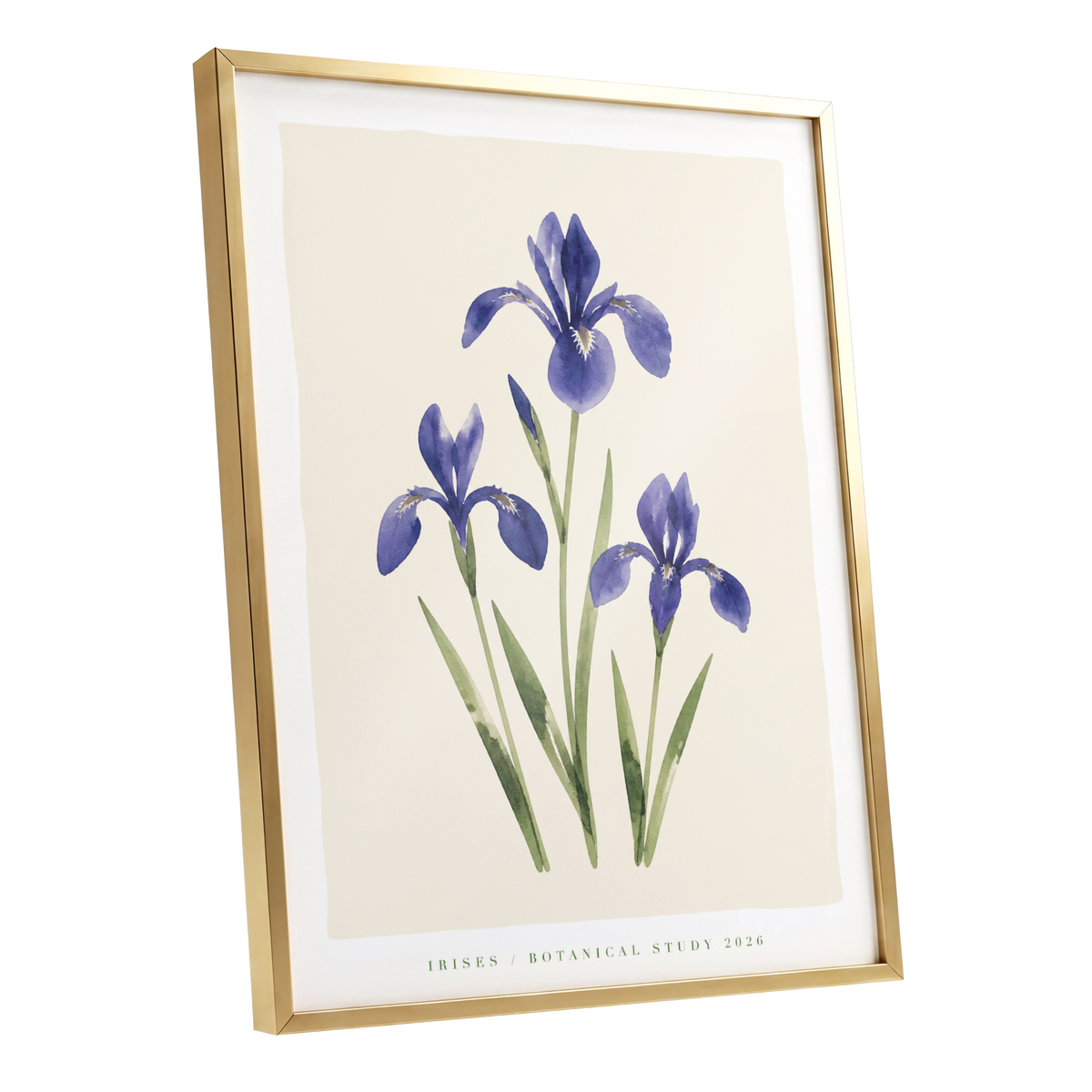 Indigo Iris Study, purple, green, beige floral wall art shown as a gold framed poster wall art print